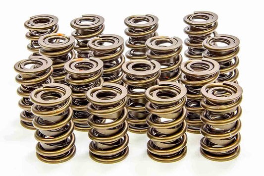 Isky Cams ISK9365PLUS 1.560in Valve Springs
