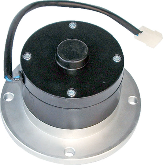 Proform PFM66219 BBM Electric Water Pump