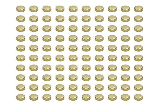 Pioneer PIOEPC-41-B-100 Expansion Plugs - 1-5/8 Brass (100pk)