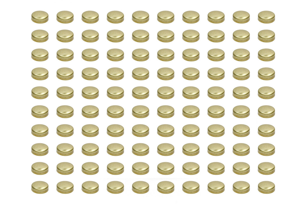 Pioneer PIOEPC-41-B-100 Expansion Plugs - 1-5/8 Brass (100pk)