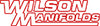 Wilson Manifolds