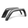 Anderson Composites AC-FLR19JPJT-R AND Fender Flares