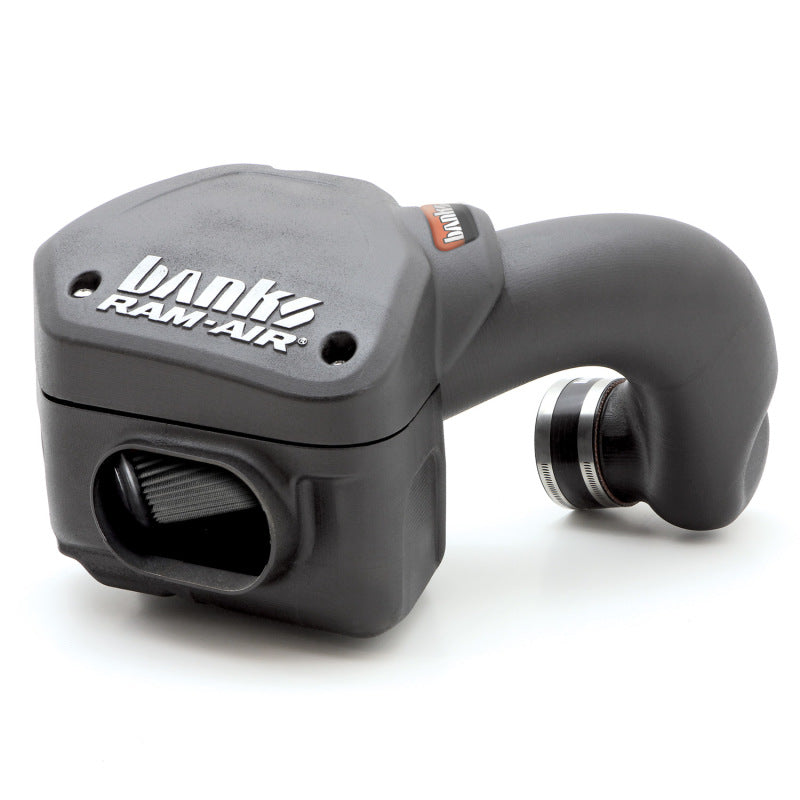 Banks Power 42225-D 94-02 Dodge 5.9L Ram-Air Intake System - Dry Filter