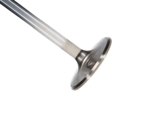 Manley MAN11781-8 SBM S/D 1.600in Exhaust Valves