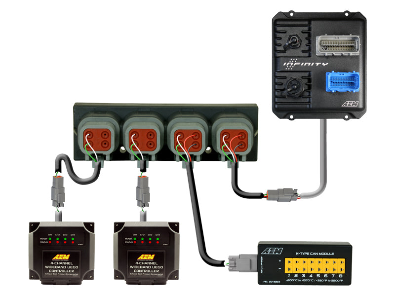 AEM 30-2225 AEM EMS Components