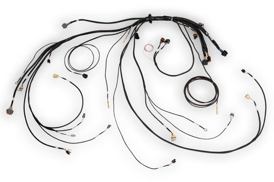 Haltech HT-186500 NEXUS Rebel LS Terminated Harness for ECU