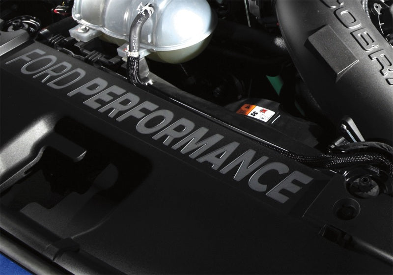 Ford Racing M-8291-FP 2015 Mustang Radiator Cover