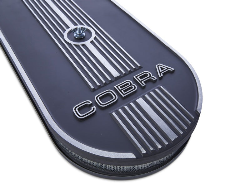 Ford Racing M-9600-C302 Oval Air Cleaner Assembly