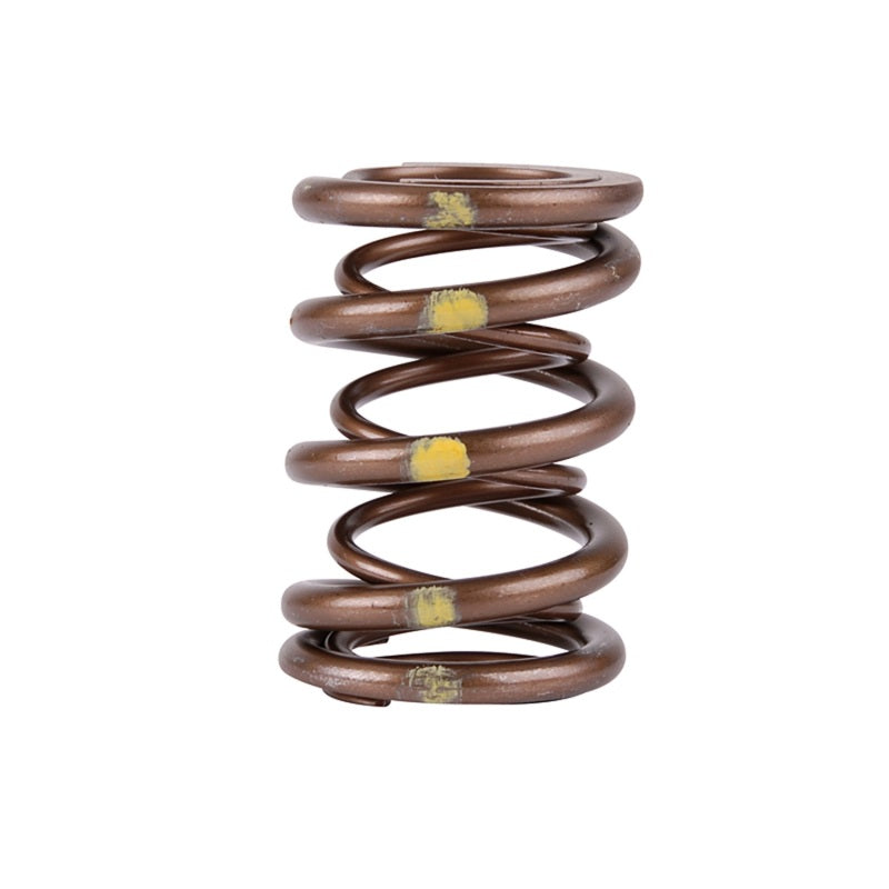Skunk2 Racing 311-05-7350 Skunk2 Pro Series Honda/Acura B-Series VTEC XP Valve Spring Set (Dual Springs)