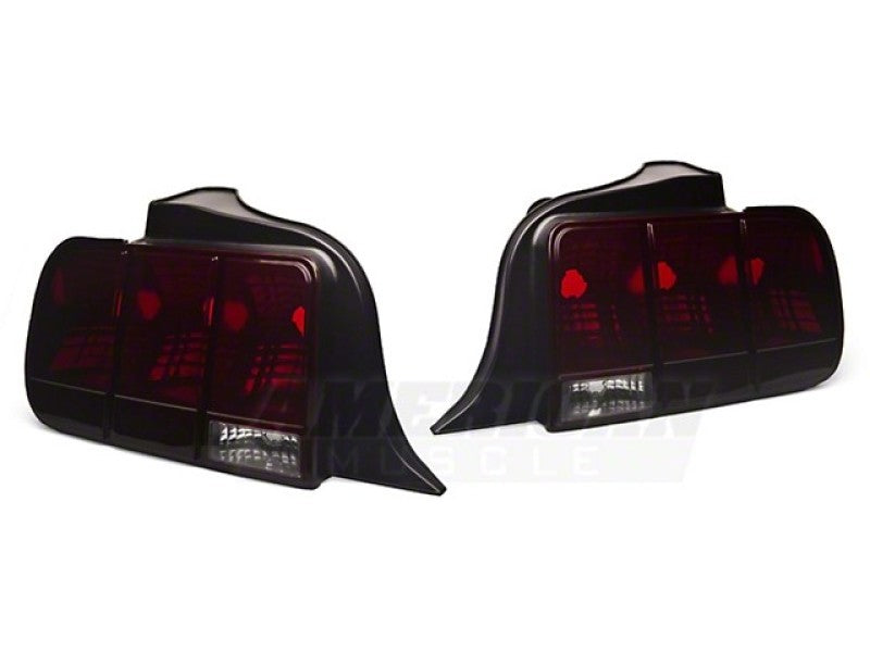 Raxiom 49066 05-09 Ford Mustang Tail Lights- Black Housing (Smoked Lens)