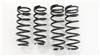 RS-R T284S 01-06 Lexus LS430 (UCF30/31) Super Down Springs