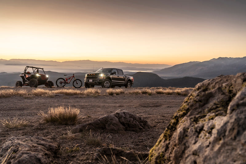 FOX 985-24-240 Fox 20+ GM 2500/3500 HD 2.0 Performance Series IFP Front w/UCA Shock 1.5-2.5in Lift