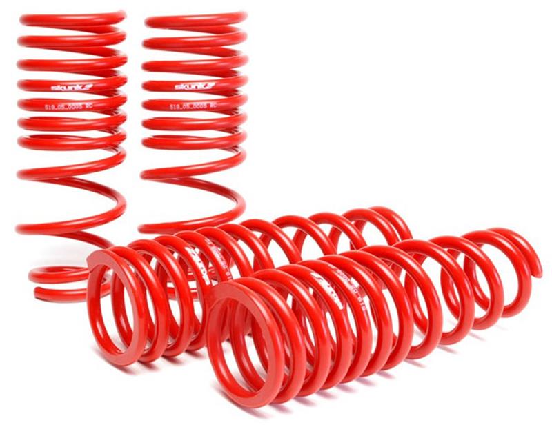 Skunk2 Racing 519-05-1550 Skunk2 96-00 Honda Civic Lowering Springs (2.50in - 2.25in.) (Set of 4)