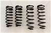 RS-R T284D 01-06 Lexus LS430 (UCF30/31) Down Sus Springs