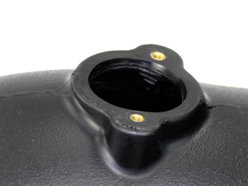 aFe 54-31342-1 MagnumFORCE Intakes Stage-2 P5R AIS P5R Dodge Diesel Trucks 07.5-13 L6-6.7L (td)