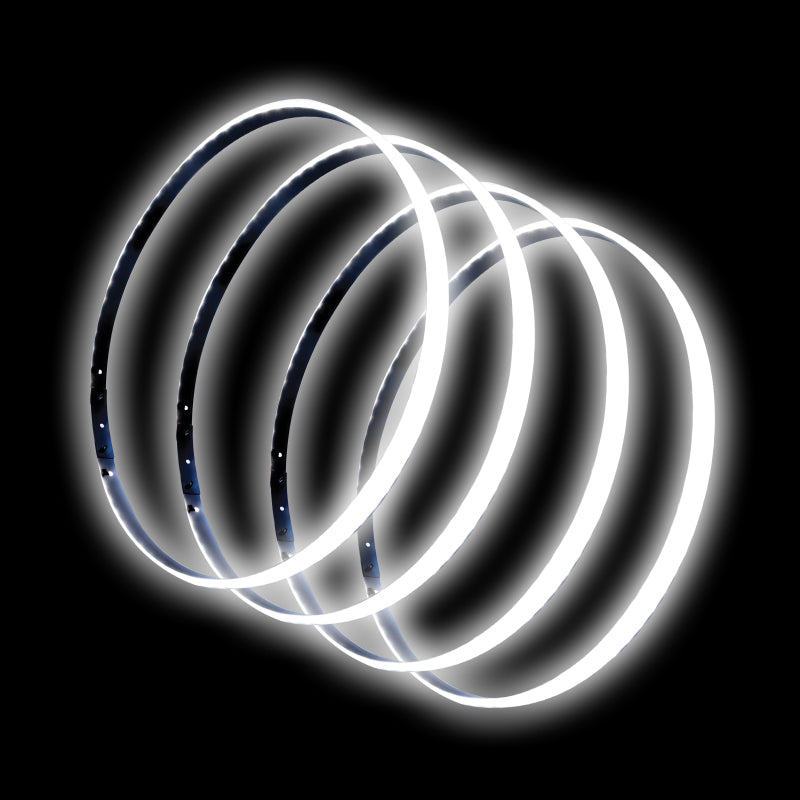 ORACLE Lighting 4215-001 Oracle LED Illuminated Wheel Rings - White