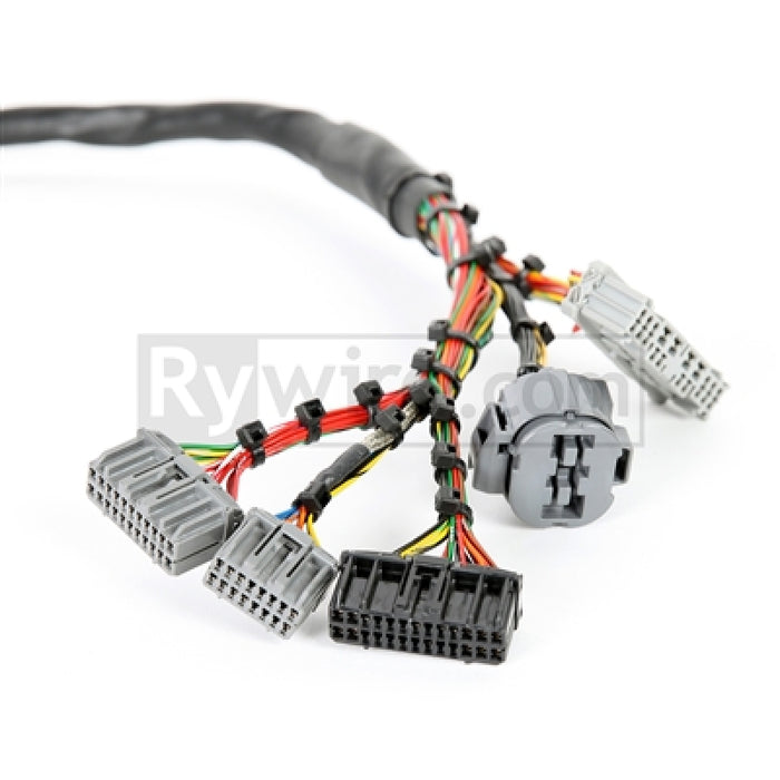Rywire RY-B2-MILSPEC Honda B-Series Mil-Spec Eng Harness w/OBD2 Dist/Inj/Alt & OBD1 92-95 ECU Plugs (Adapter Req)