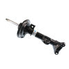 Bilstein 22-196019 BIL B4 Series Shocks