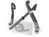 aFe 46-20204-B AFE Bladerunner I/C & Tubes