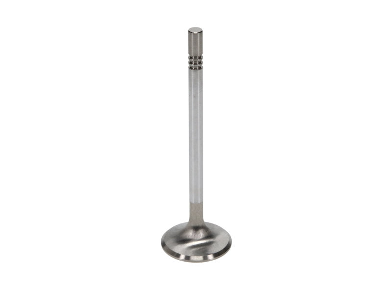 Manley MAN11637-8 Ford 4.6L R/M 36mm Exhaust Valves