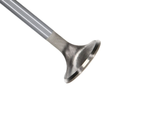 Manley Performance 11623-8 Manley Ford Coyote 5.0L DOHC 4 Valve 31mm Triple Groove Race Master Exhaust Valves (Set of 8)