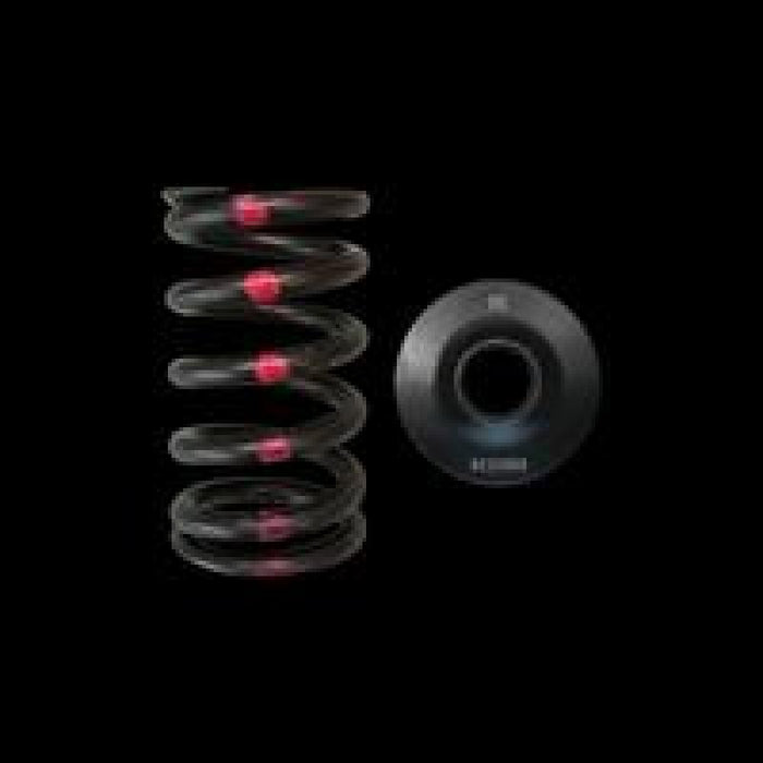 Brian Crower BC0200S Nissan SR20DE/DET Single Spring & Steel Retainer Kit