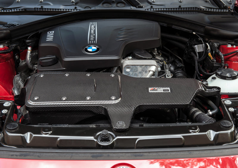 AWE Tuning 2660-13034 BMW 228i/320i/328i/428i S-FLO Carbon Intake