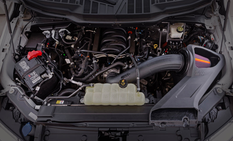 K&N Engineering 50-2591 K&N 15-20 Ford F150 V8-5.0 L Performance Air Intake System