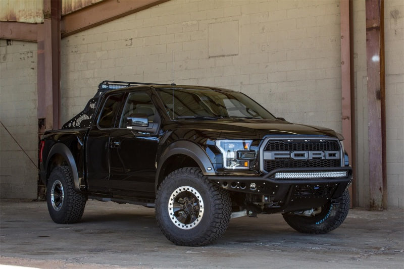 Addictive Desert Designs C115802800103 17-18 Ford F-150 Raptor Race Series Chase Rack w/ 2017 Grill Pattern