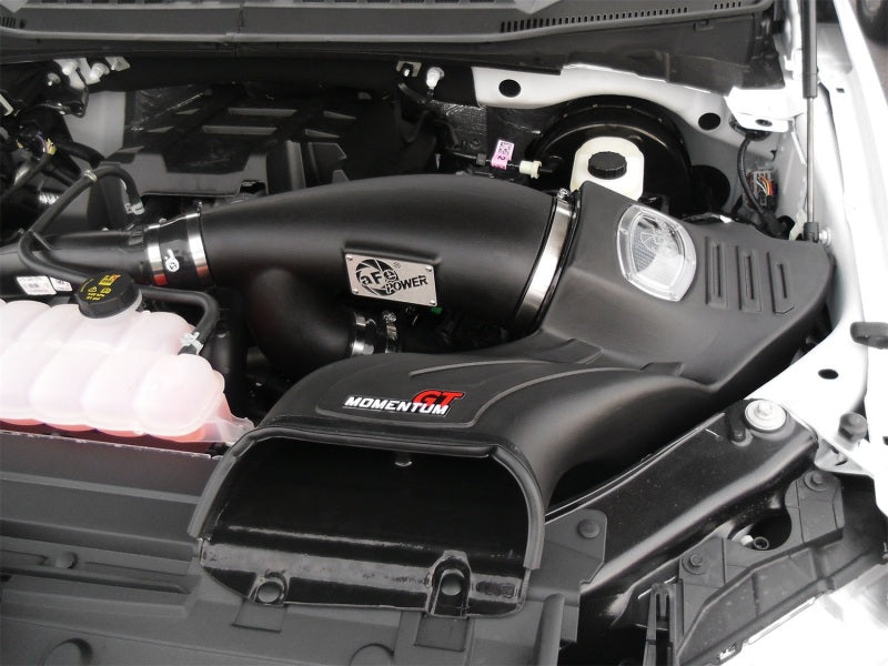 aFe 51-73112-1 Momentum GT Pro DRY S Intake System 2016 Ford F-150 EcoBoost V6-2.7L/3.5L (tt)