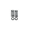 Belltech BT Coil Spring Set 4202