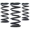 AST AST-100-20-61 AST Linear Race Springs
