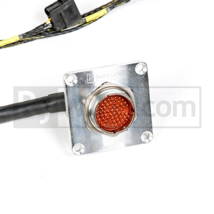 Rywire RY-H1-MILSPEC Honda F/H-Series Mil-Spec Eng Harn w/OBD1 Dist/Inj/Alt & 92-95 Plugs (Adapter/Plug Color Req)