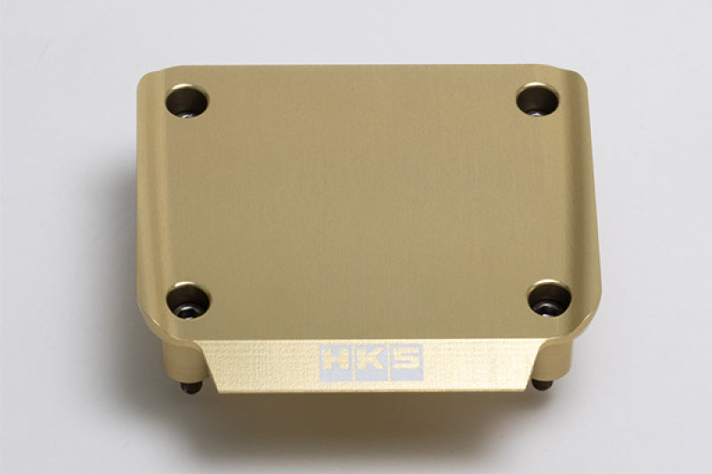 HKS 22998-AN004 RB26 Cover Transistor - Gold