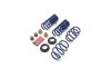 Ford Racing M-5300-S62T 2024 Mustang 2.3L Track Lowering Spring Kit