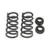 Belltech BT Coil Spring Set 4204