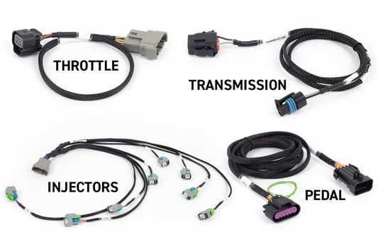 Haltech HT-220204 NEXUS Rebel LS Gen IV 6-Pin DBW Throttle/EV6 Injectors/Manual Transmission