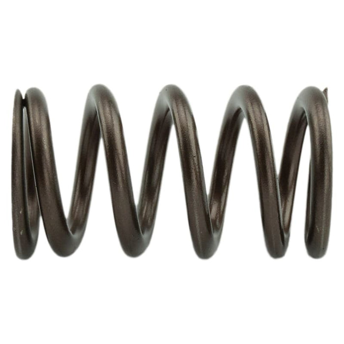 Industrial Injection PDM-160-1484S-24 110 LBS Single Valve Spring Set