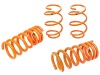 aFe 410-301002-N AFE Lowering Springs