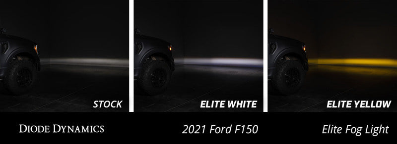 Diode Dynamics DD5169 21-23 Ford F-150 Elite Fog Lamps - White