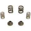 BD Diesel BDD Governor Spring Kits 1040187