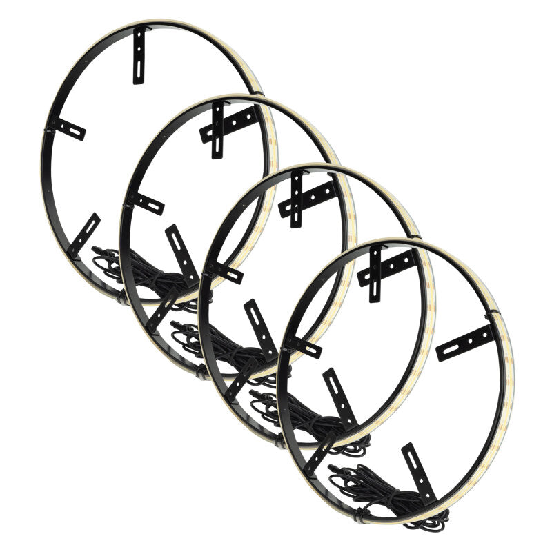 ORACLE Lighting 4238-051 LED Illuminated Wheel Rings - 16.5in PLASMA White