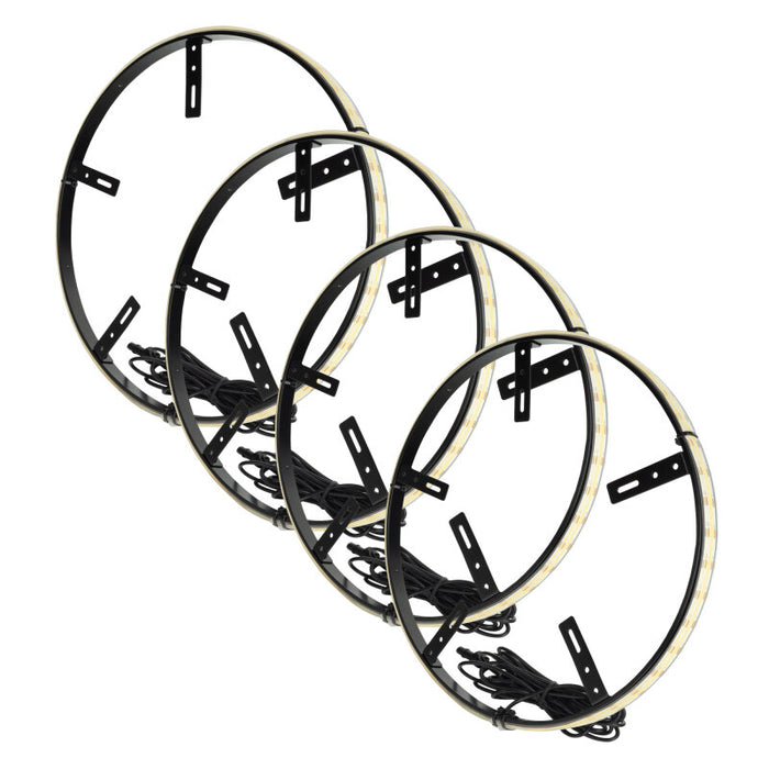 ORACLE Lighting 4238-051 LED Illuminated Wheel Rings - 16.5in PLASMA White