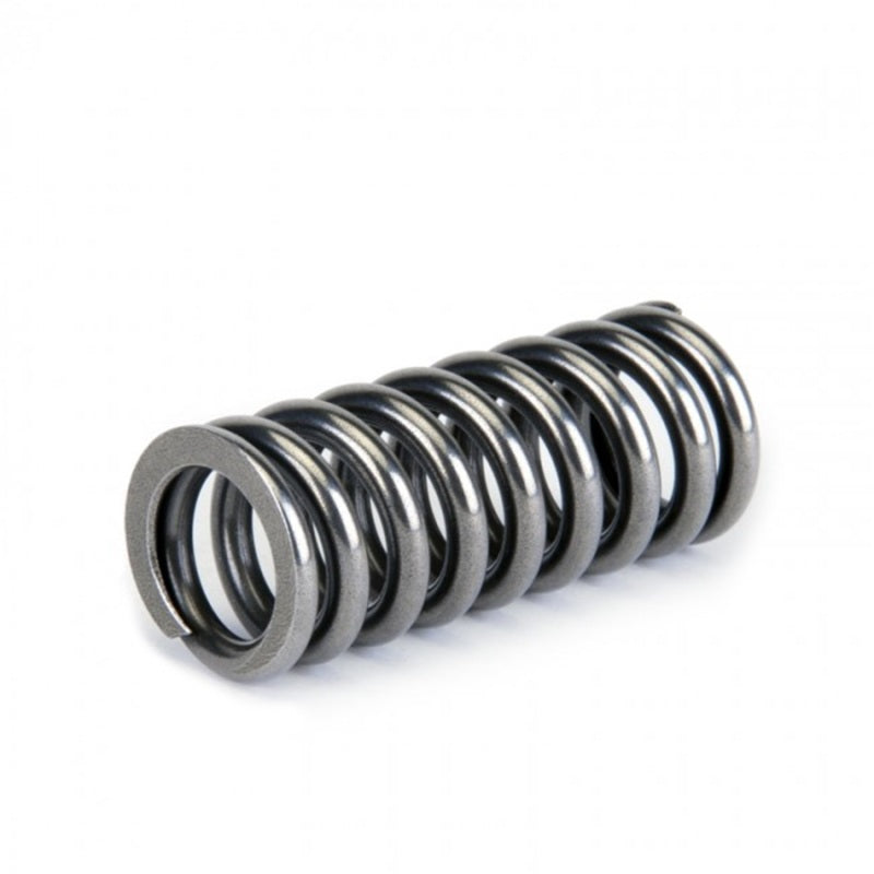 Skunk2 Racing 311-05-1345 Skunk2 Alpha Series Honda D Series VTEC Valve Spring Set