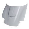 Anderson Composites AC-HD9704CHC5-TM-GF AND Hoods