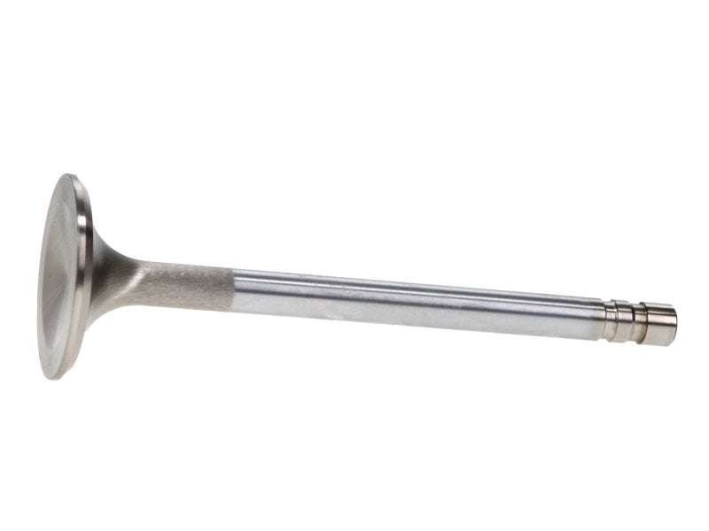 Manley Performance 11595-8 Manley SBC 1.6 Severe Duty Exhaust Valves (Set of 8)