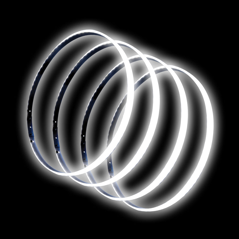 ORACLE Lighting 4215-001 Oracle LED Illuminated Wheel Rings - White SEE WARRANTY