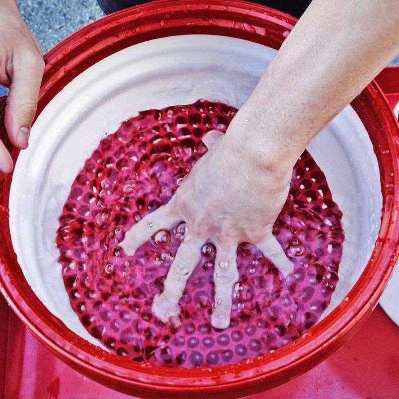 Chemical Guys DIRTTRAP02 Cyclone Dirt Trap Car Wash Bucket Insert - Red